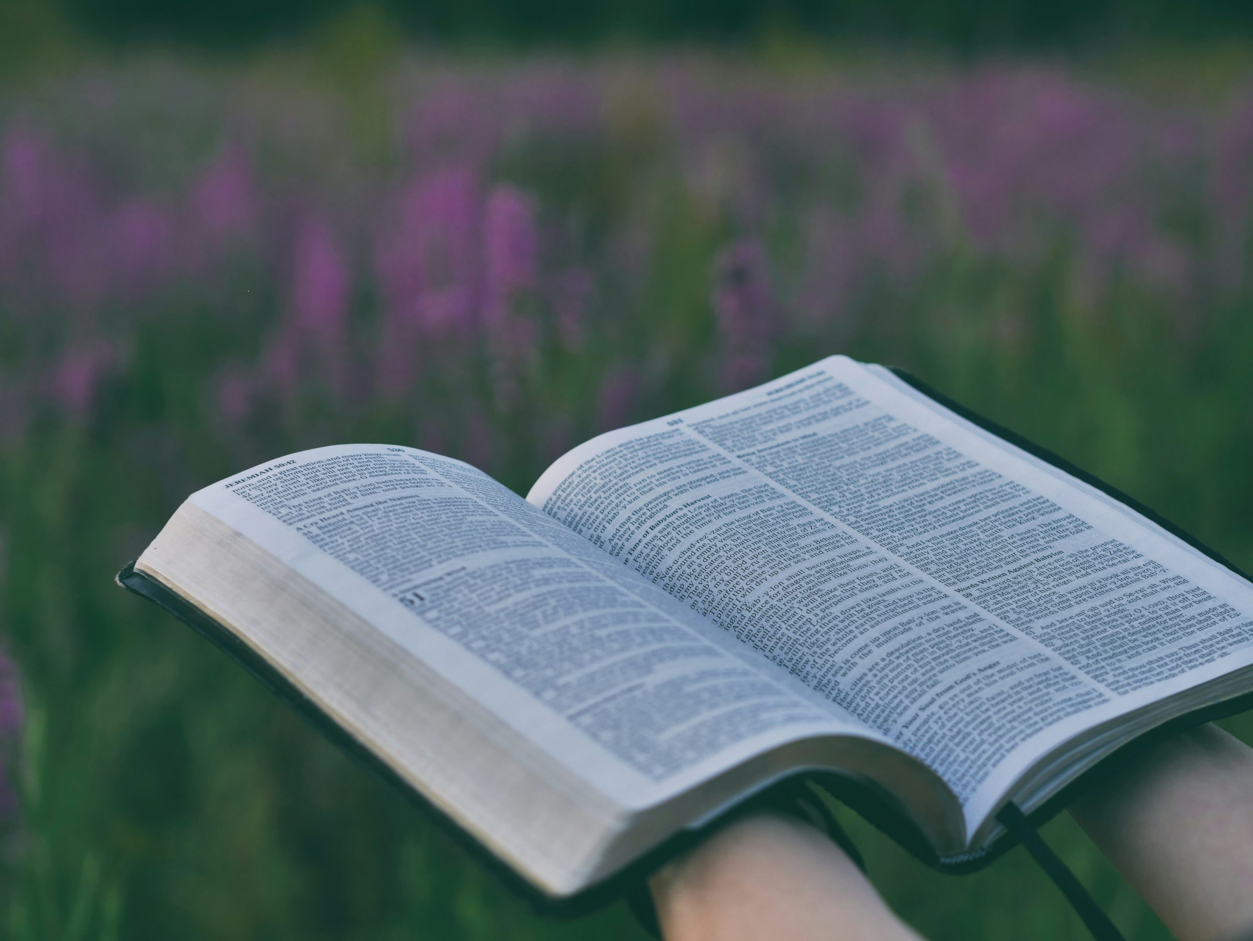 God Will Guide You: A Daily Meditation | Abide
